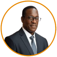 Africa Energy speaker