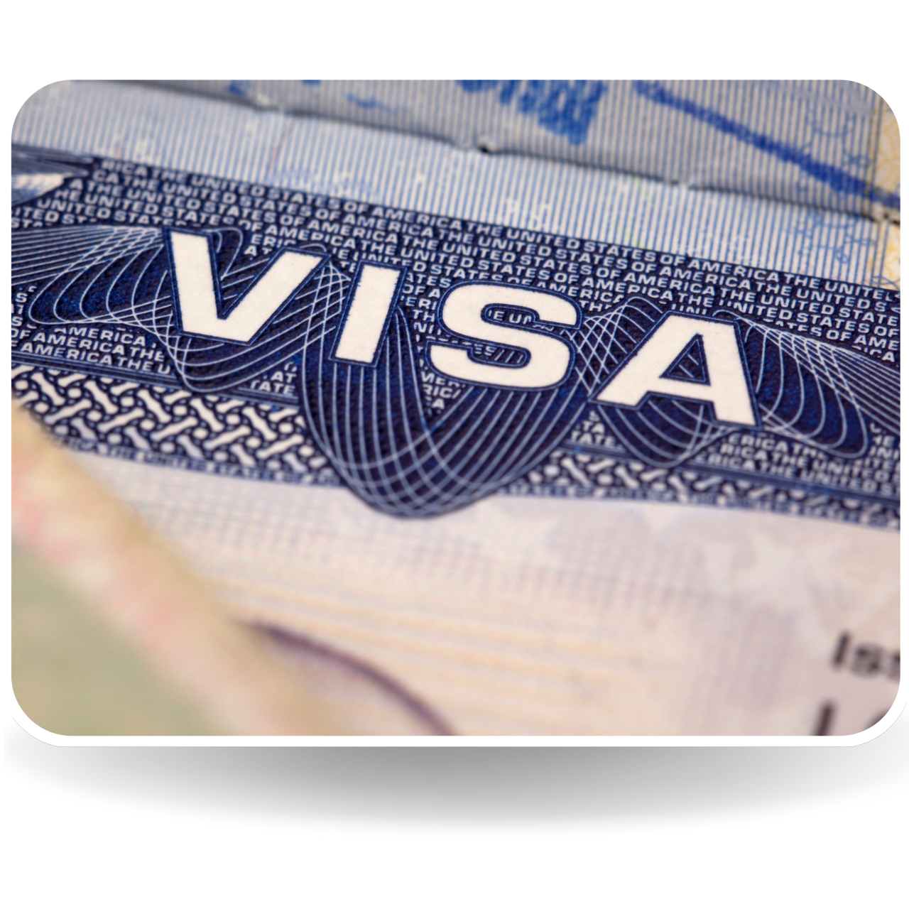 Visa